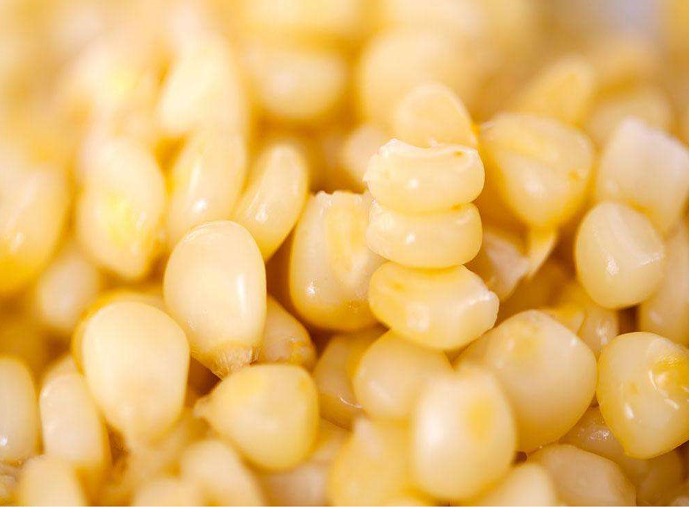 速冻甜玉米粒具有较高的粘滞性和良好的适口性