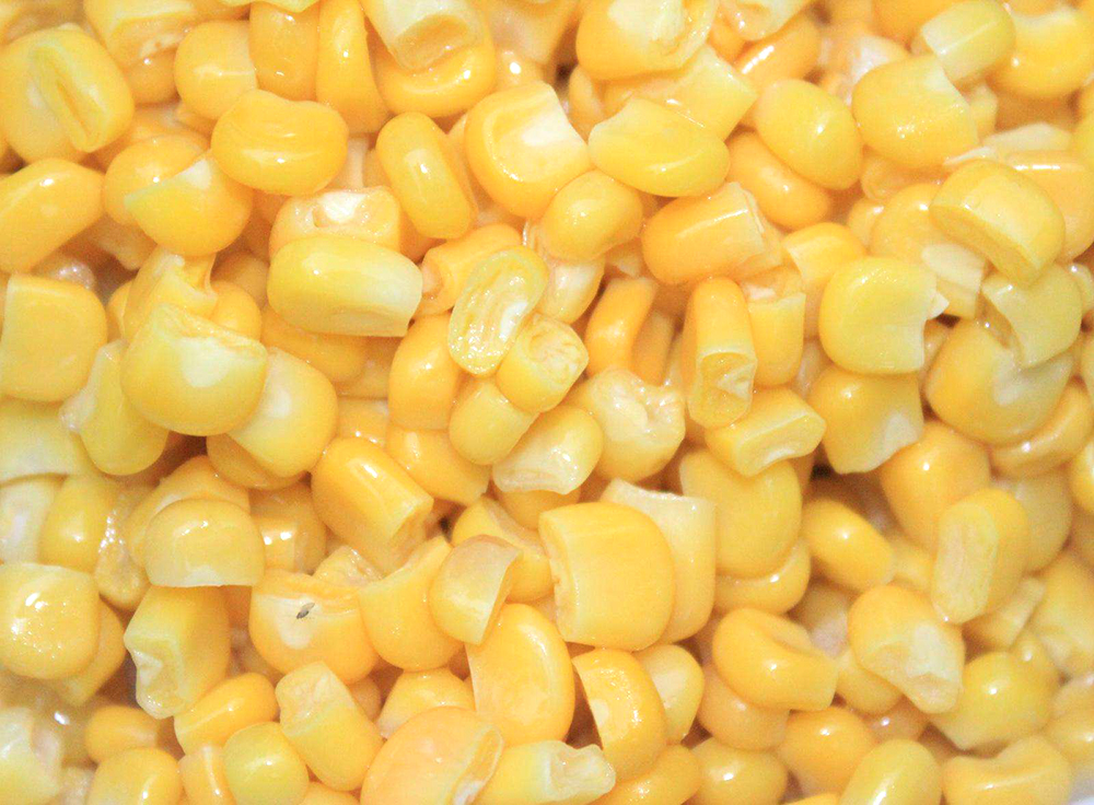 早春速冻甜玉米原料——甜玉米套种西瓜产值高