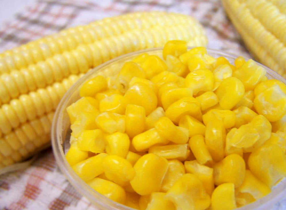 金田果菜批发速冻甜玉米厂家的速冻玉米的营养价值堪比夏天的新鲜玉米，为什么呢？