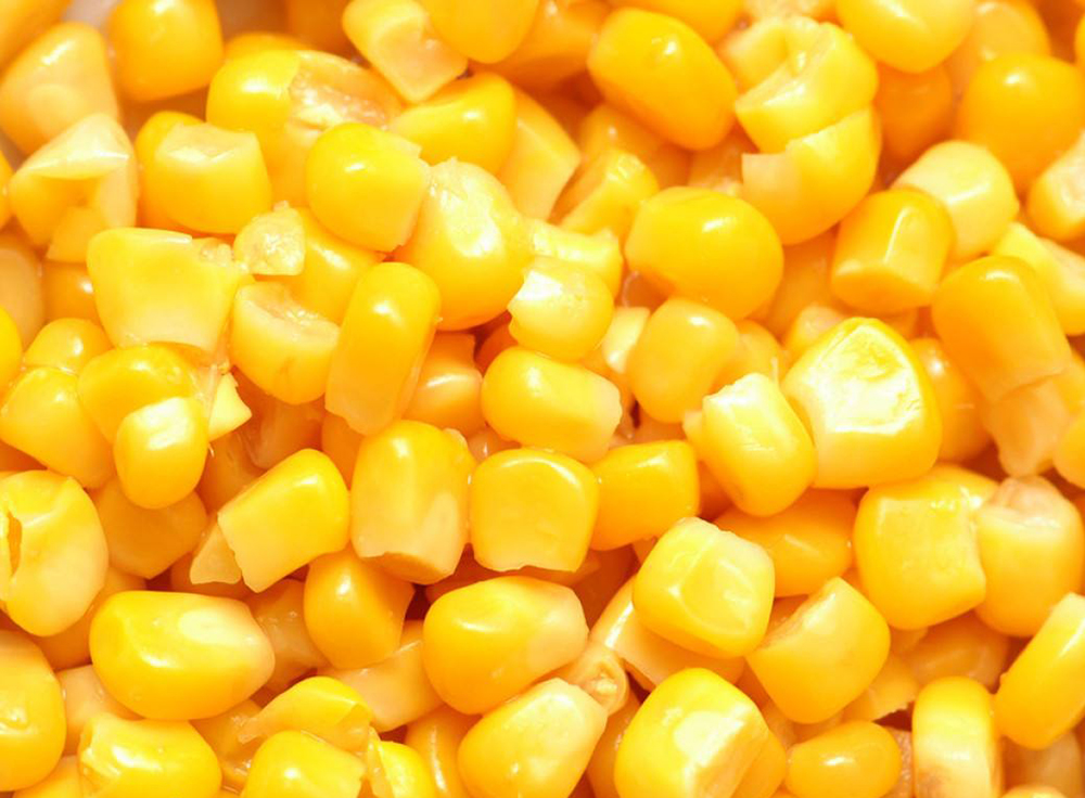 批发速冻甜玉米厂家生产速冻甜玉米粒的过程